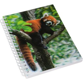 Obrázek z Notes 3D 12x17cm - panda červená 